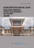 Intan Jaya Regency In Figures 2020