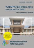 Intan Jaya Regency in Figures 2020, Delivering Data to Inform Development Planning